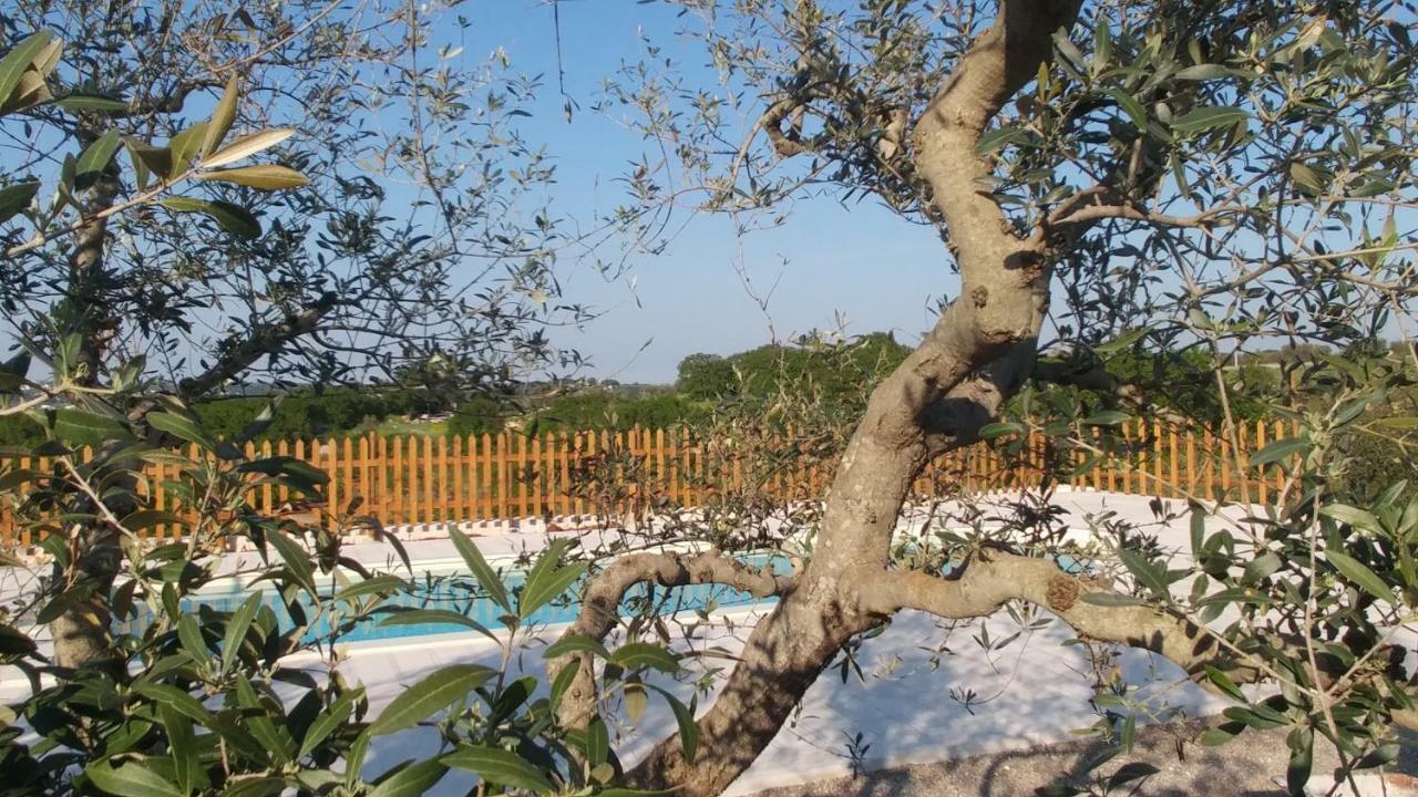 Il Carpino Villa Martina Franca Exterior foto